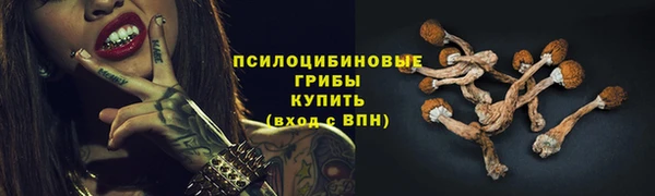 не бодяженный Снежинск