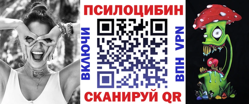 Псилоцибиновые грибы Psilocybe купить наркотики цена Холм
